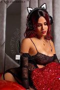 Foto 0032494377108 Trans Herselt Valery Magica - 3