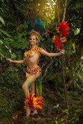 Foto 0033754020142 Trans Cannes Eliana - 78