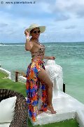 Foto 0033754020142 Trans Cannes Eliana - 7