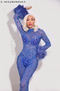 Foto 0034617911341 Trans Ibiza Nina La Divina - 78