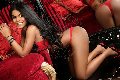 Foto 0041762351098 Trans Soletta Bruna Deep Swallow - 249
