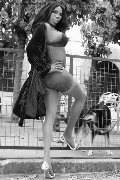 Foto 004915205446913 Trans Karlsruhe La Black Star Jussara Carioca - 5