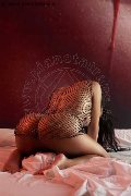 Foto 00573118794349 Trans C�cuta Candy Michelle - 5