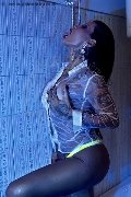 Foto 3476793328 Trans Lecce Alessandra Nogueira Diva Porno - 78