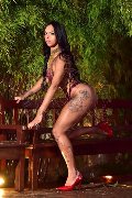 Foto 3516700925 Trans Forl� Sophie Vergara - 14
