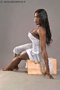 Foto 3519905819 Trans Roma Nimat - 6