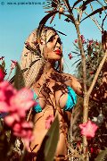 Foto 3898313619 Trans Roma Chrystal Medeiros Pornostar - 38
