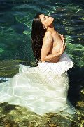 Foto Hot 0041766140309 Trans Ginevra Victoria Luxo - 1