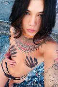  Trans Jj La Numero Uno 351 45 55 713 foto selfie 21