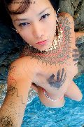 Trans Jj La Numero Uno 351 45 55 713 foto selfie 16