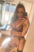 Ginevra Trans Nina La Vera Dea 375 98 84 313 foto selfie 70