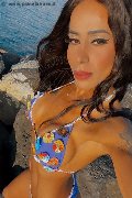 Bergamo Trans Nicolly Di Biaggi 389 13 53 499 foto selfie 7