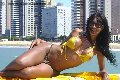 Foto 3285382487 Trans Prato Tain� Oliveira - 53