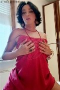 Foto 3520490894 Trans Bruna - 3