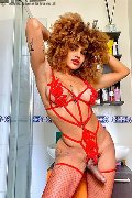 Foto Hot 3295563971 Trans Milano Stella - 5