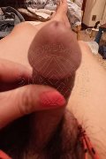Pordenone Trans Ladyboy Carlina 350 95 76 839 foto selfie 9
